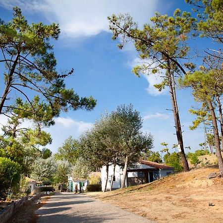 Village Vacances Le Petit Bec Saint-Hilaire-de-Riez Kültér fotó